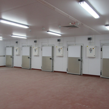 Row of cold room doors 